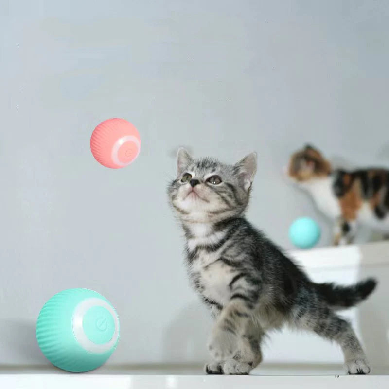 KatzenTanz™ - Aktivieren Sie die natürlichen Instinkte Ihrer Katze! | 50% RABATT