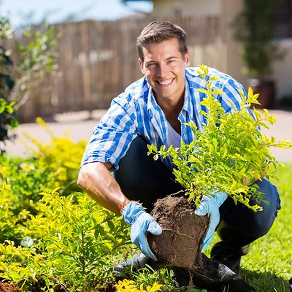 SoilGuard – Professionelles Lösungsmittel 120g | 1+1 GRATIS