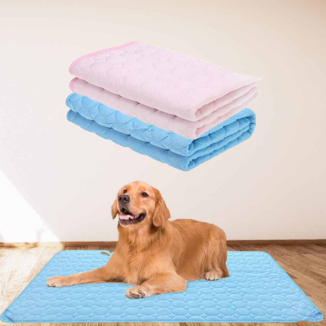 Schützen Sie Ihren Hund vor Überhitzung!