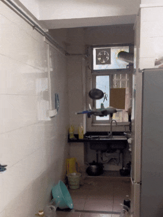 SkyFury™ – High-Speed RC Kampfjet-Drohne | 50% Rabatt