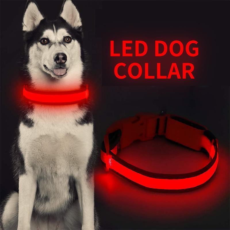 LED-Halsbänder für Hunde™