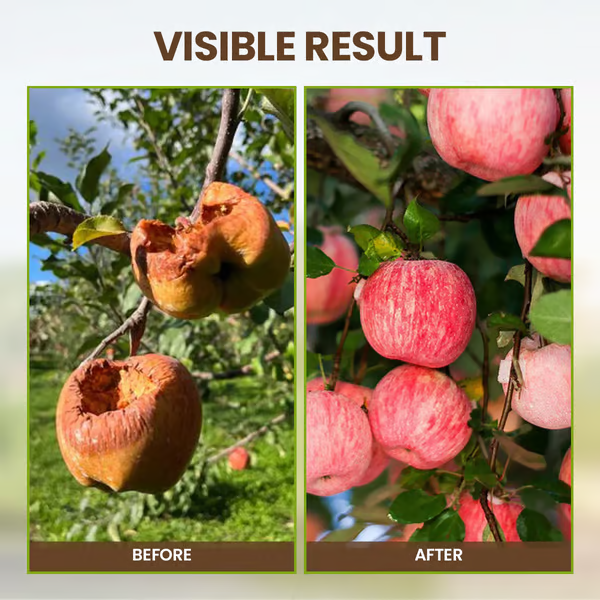 SoilGuard – Professionelles Lösungsmittel 120g | 1+1 GRATIS