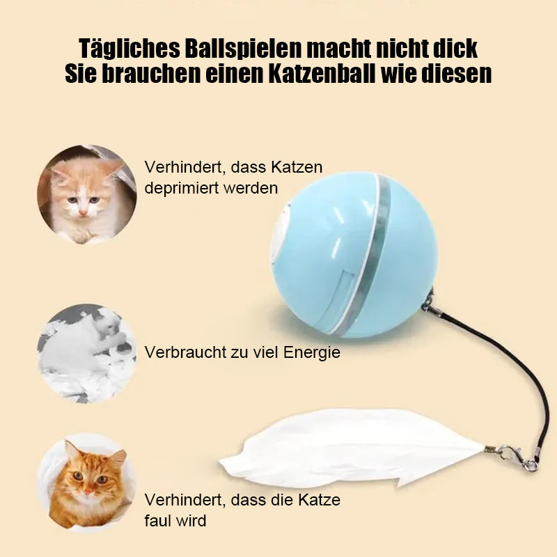 Automatisch geführter, intelligenter Katzenball