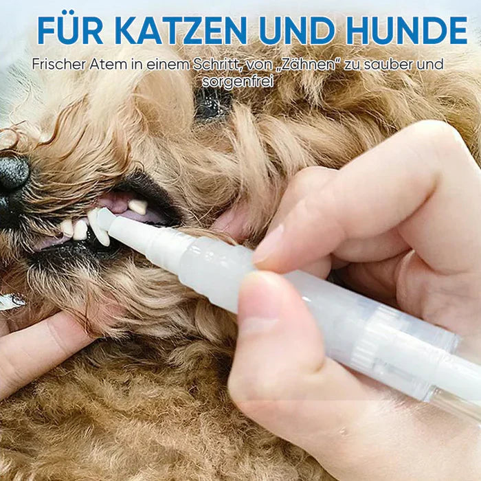 ZahnGlanz – Stressfreie Zahnpflege für Ihr Haustier | 1 + 1 GRATIS