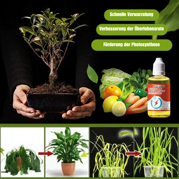 Wachstumsförderer für Pflanzen Supplement