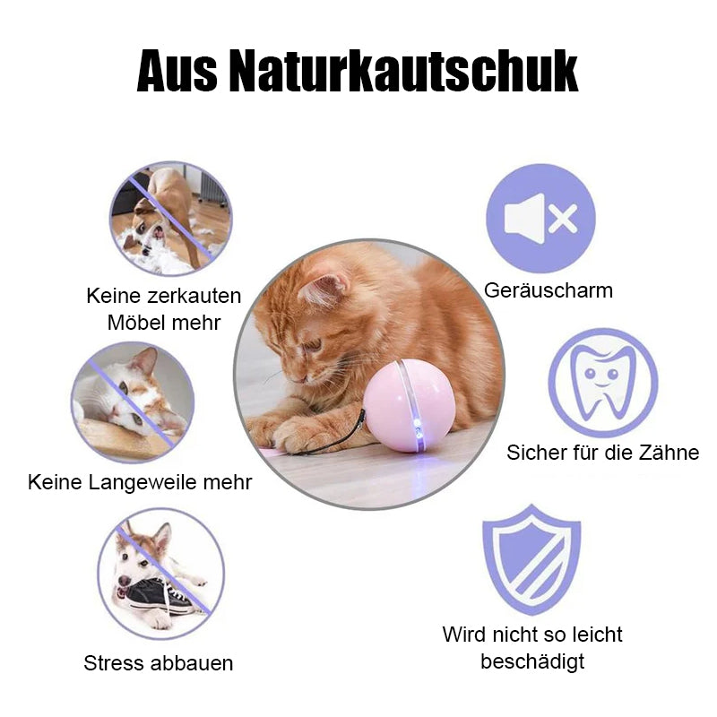 Automatisch geführter, intelligenter Katzenball