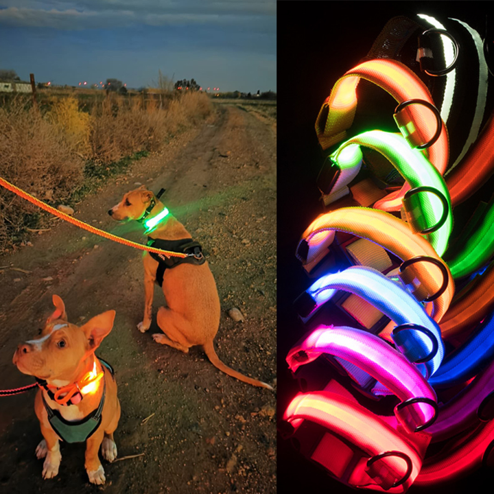 LED-Halsbänder für Hunde™