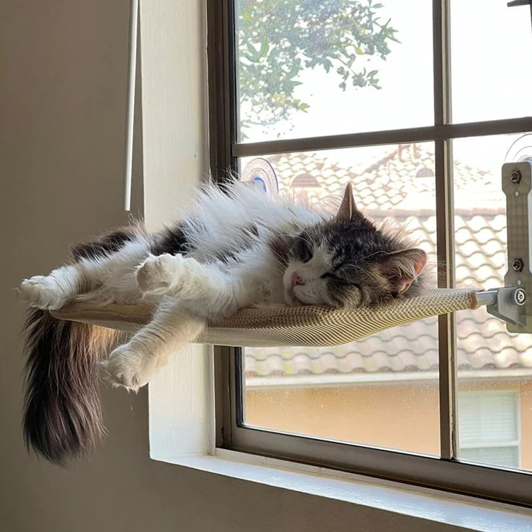 Gemütliche Katze Fenster Hängematte