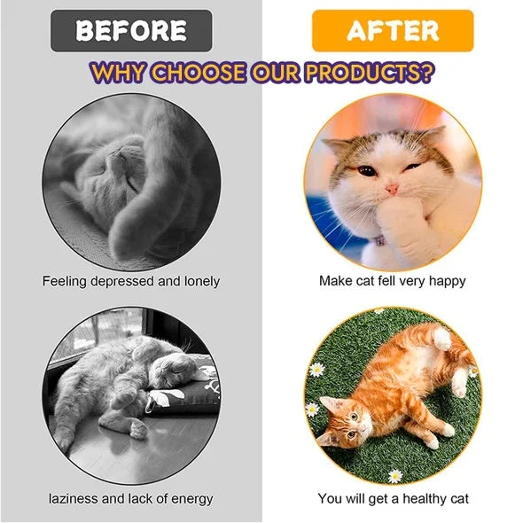 FlexiCat™️ - Einfach Stress abbauen und Katzen in Form halten | 40% RABATT