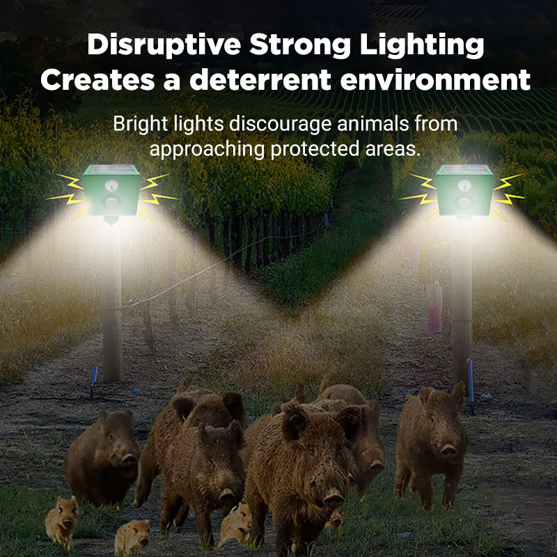 SafeGuard™ Solar-Tierabwehrlampe