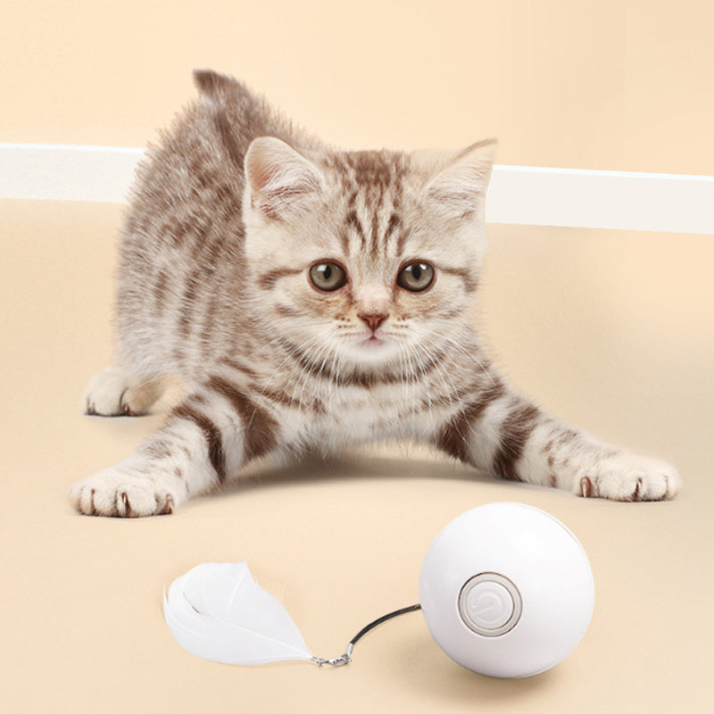 Automatisch geführter, intelligenter Katzenball