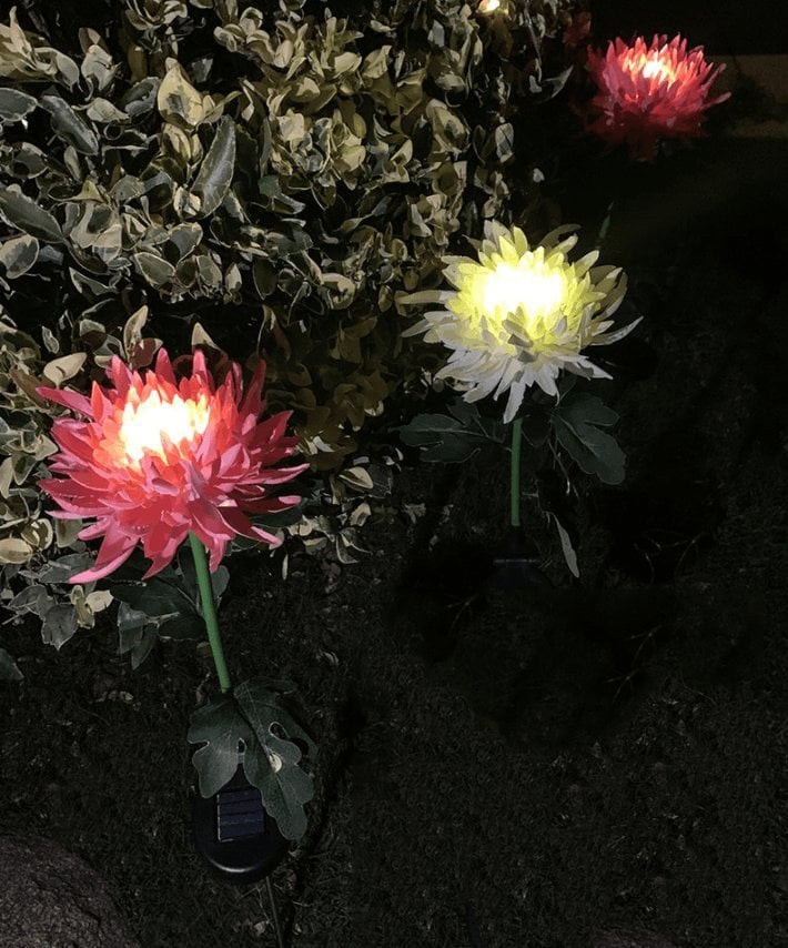 Chrysantheme Solar Gartenpfahl LED