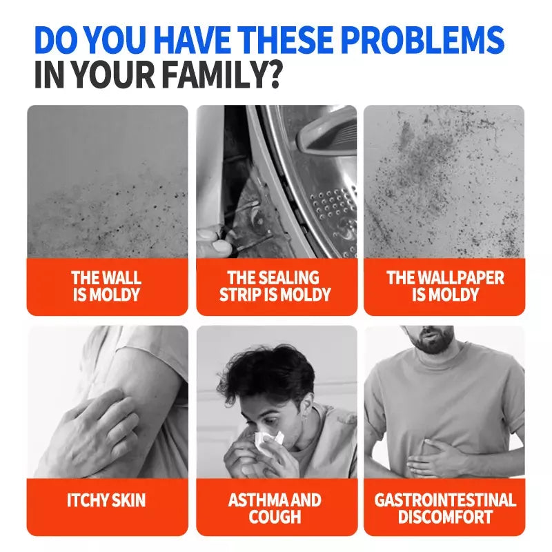 MoldAway 237ml – Leistungsstarker Schimmelentferner | 1+1 GRATIS