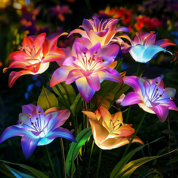 🔥HEISSER VERKAUF 49% RABATT🔥🎄Solarbetriebene blühende Lilienblumen Lichter🎄