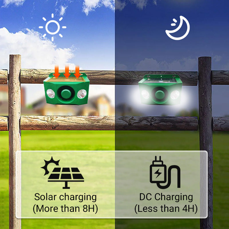 SafeGuard™ Solar-Tierabwehrlampe