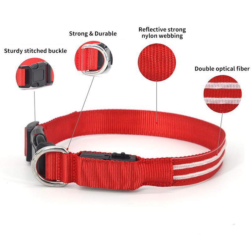LED-Halsbänder für Hunde™