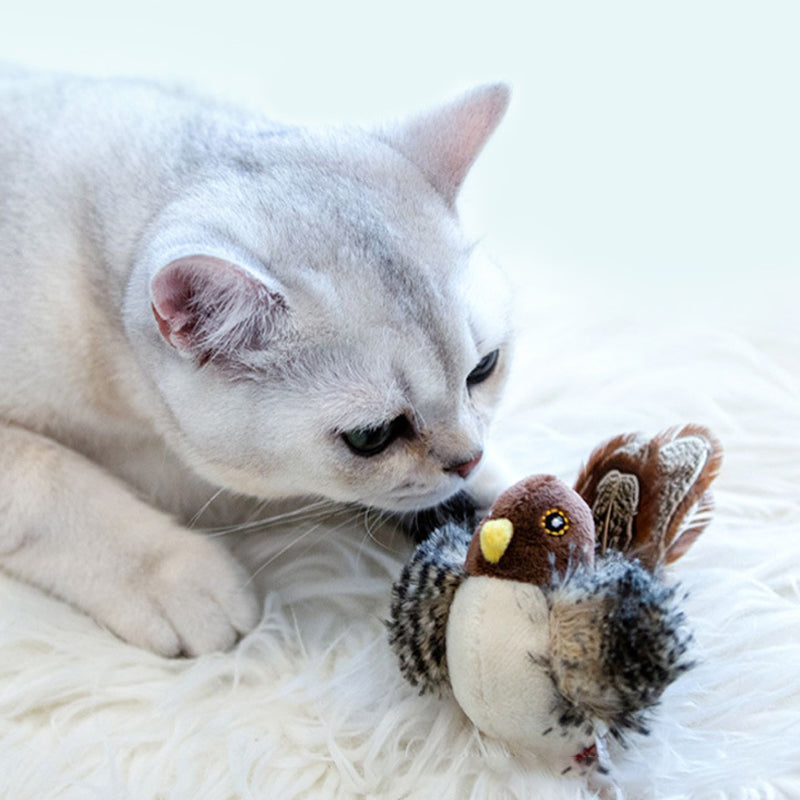 Katzenspielzeug - Simulierter zwitschernder Vogel