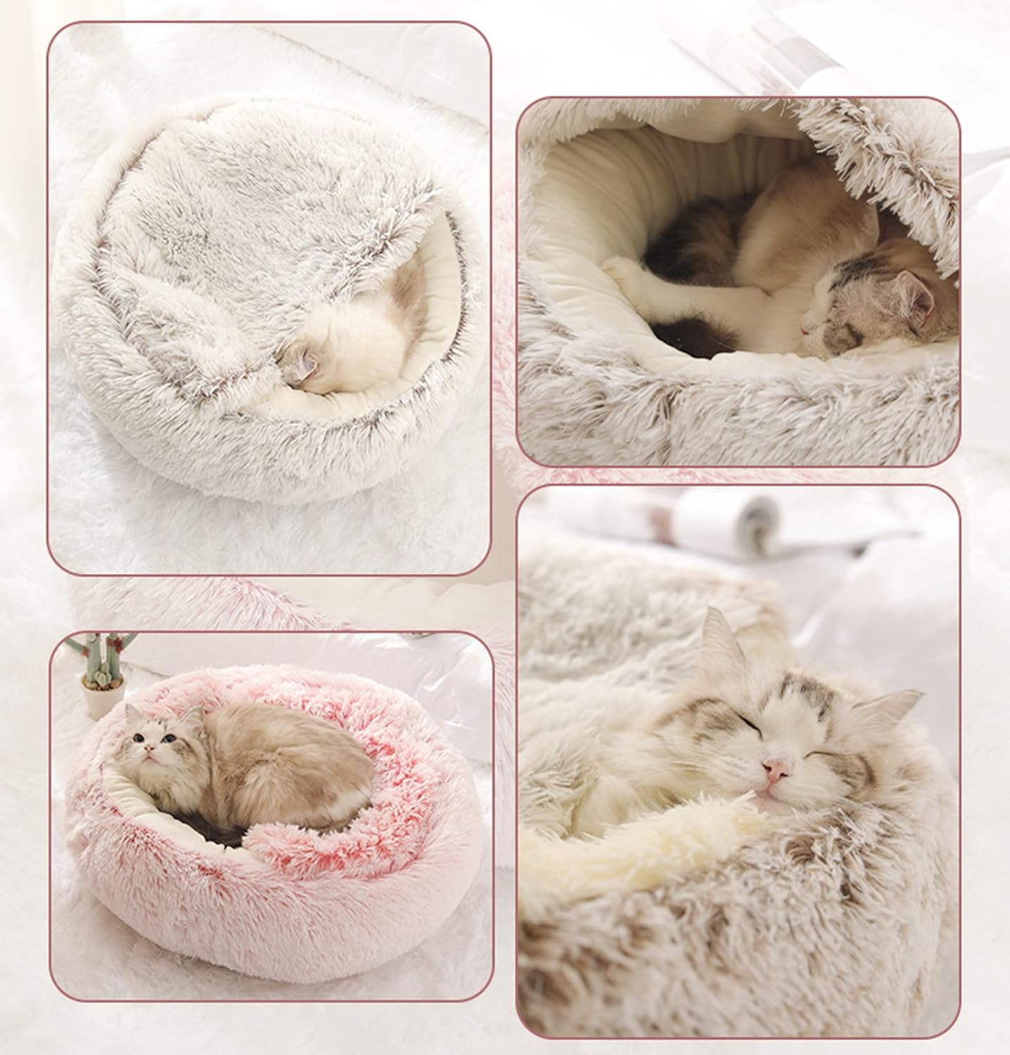 TraumKatzen™ - Gib deiner Katze den erholsamen Schlaf, den sie verdient | 50% RABATT