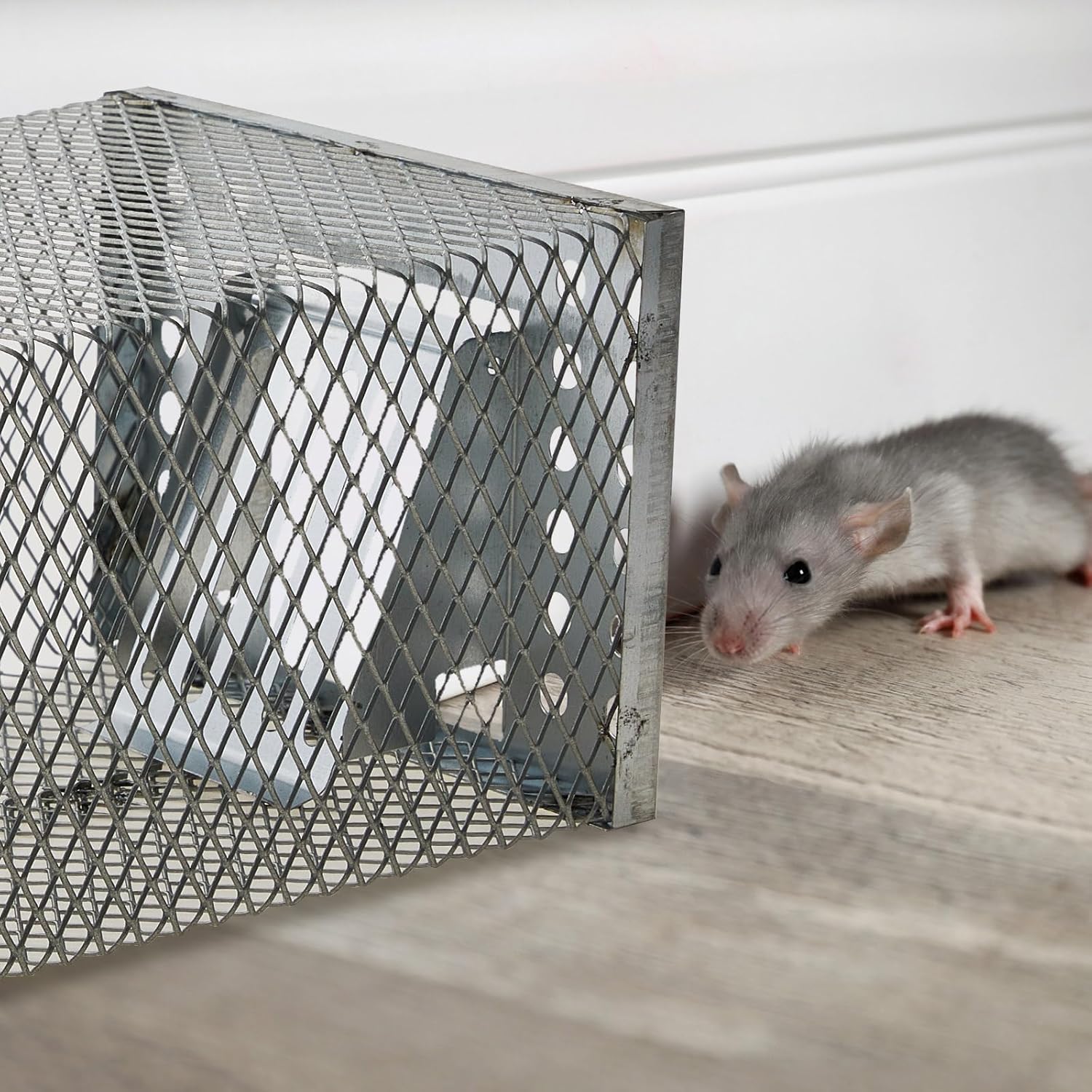 SafeCatch™ – Tierfreundliche Lebendfalle für Sichere & Humane Nagerkontrolle drinnen & draußen | 50% RABATT