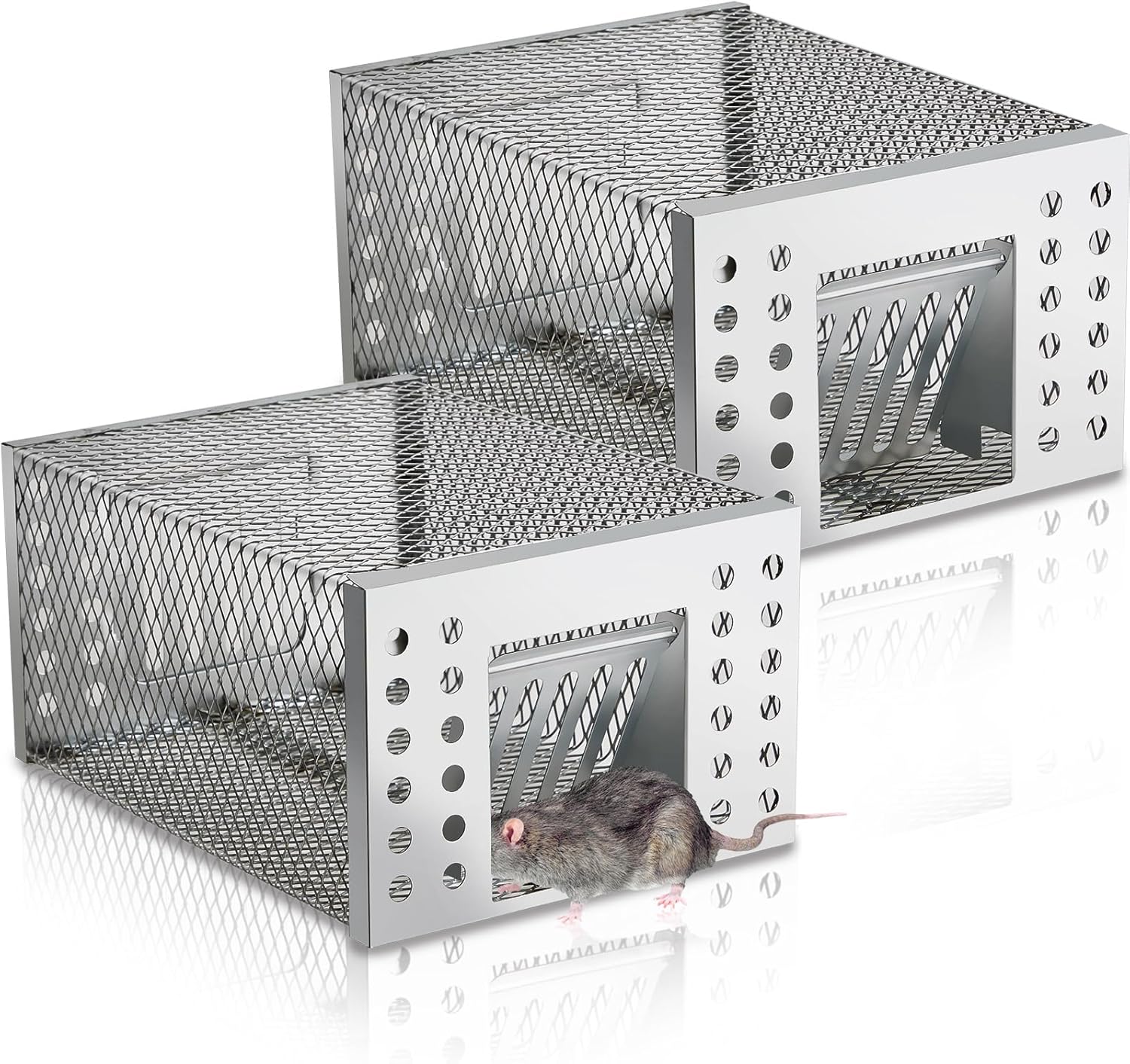 SafeCatch™ – Tierfreundliche Lebendfalle für Sichere & Humane Nagerkontrolle drinnen & draußen | 50% RABATT