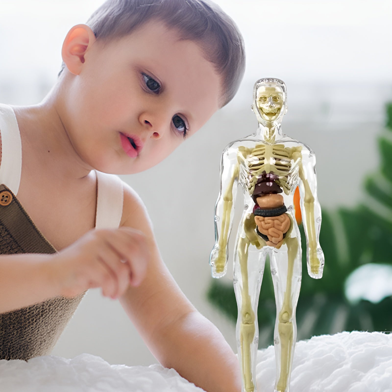 KörperEntdecker™ Spielerisches Lernen der Anatomie für Kinder | 50% RABATT