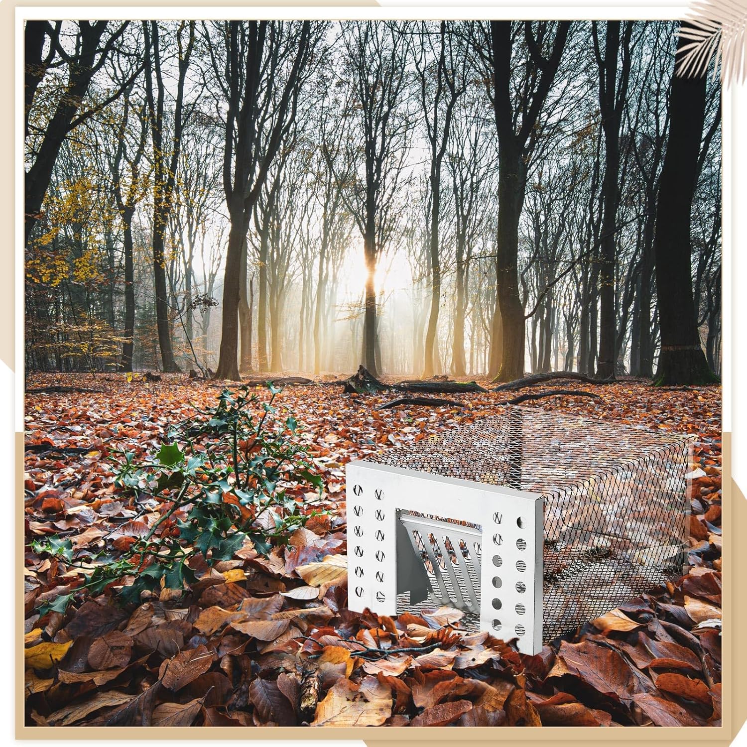 SafeCatch™ – Tierfreundliche Lebendfalle für Sichere & Humane Nagerkontrolle drinnen & draußen | 50% RABATT