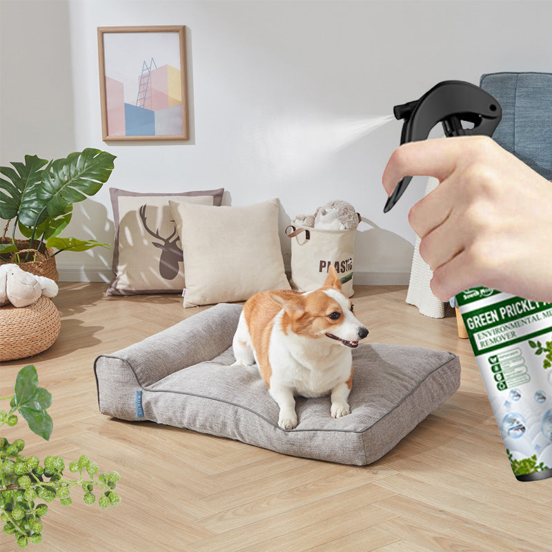 AllerGuard Nebel — Schnelle, sichere Juckreizlinderung | 1+1 GRATIS