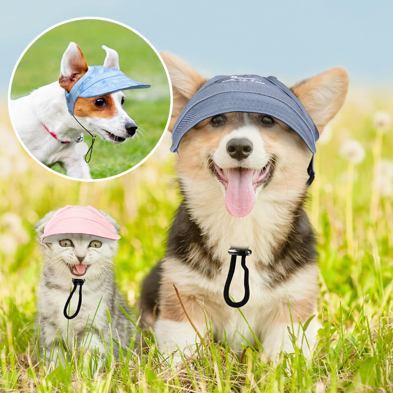 Outdoor-Sonnenschutzhaube für Hunde