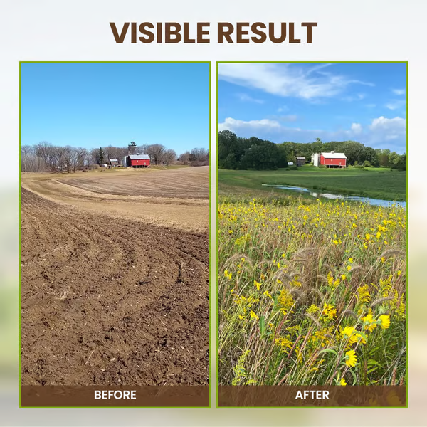 SoilGuard – Professionelles Lösungsmittel 120g | 1+1 GRATIS