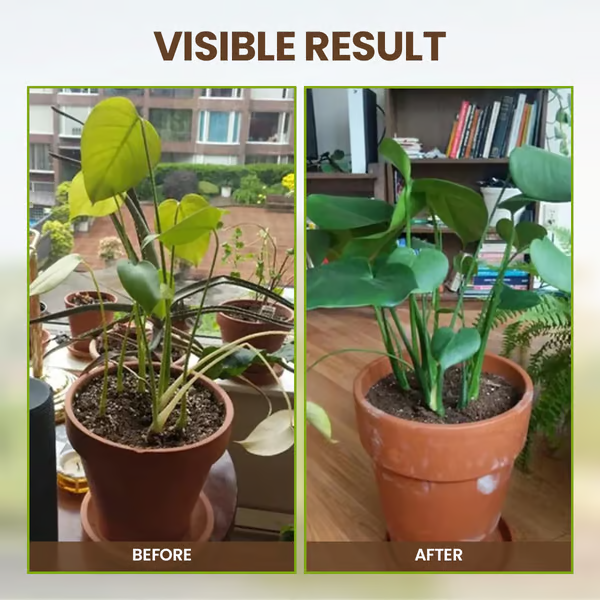 SoilGuard – Professionelles Lösungsmittel 120g | 1+1 GRATIS