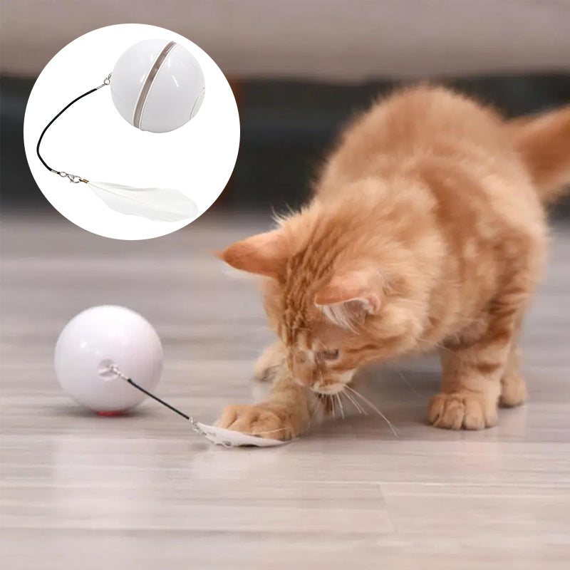 Automatisch geführter, intelligenter Katzenball