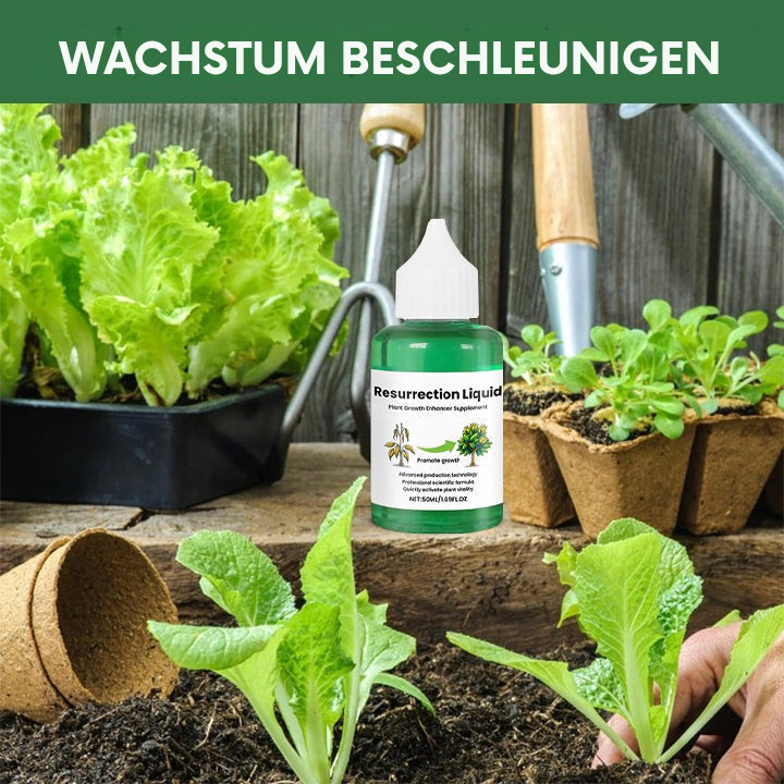 PflanzVital – Beleben Sie Ihre Pflanzen mit Resurrection Liquid! | 1+1 GRATIS