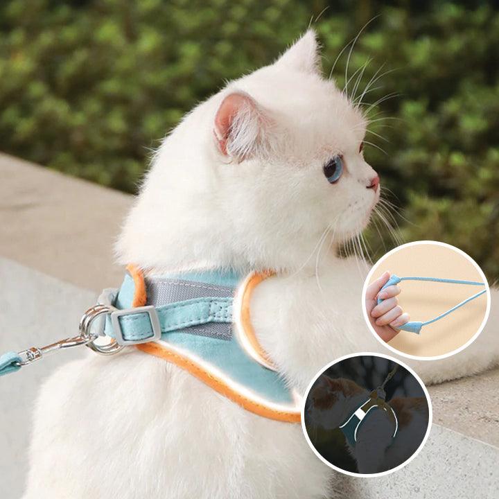 KatzenGürtel™ - Weiches und stilvolles Katzengeschirr | 50% RABATT