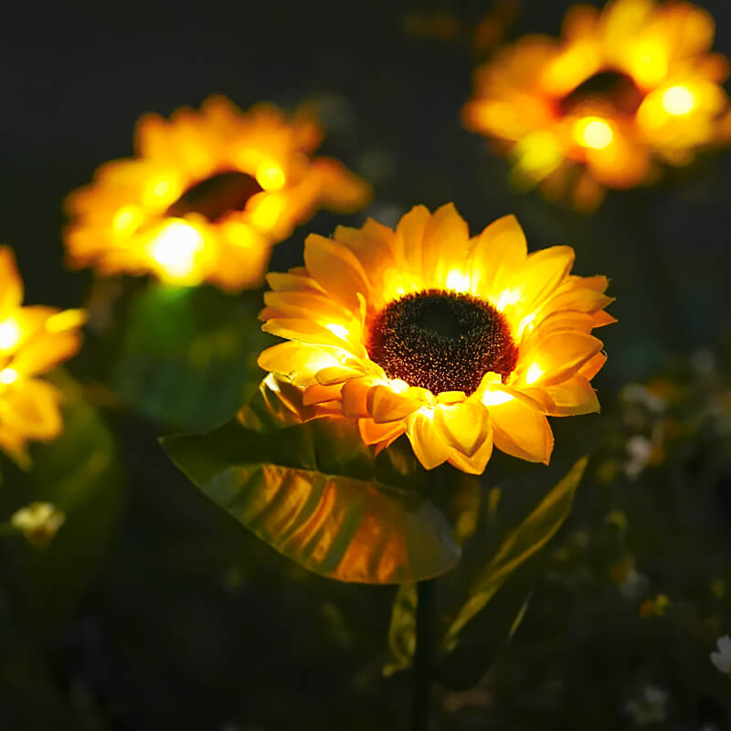 SunGlow™ Solar-Sonnenblumenlichter