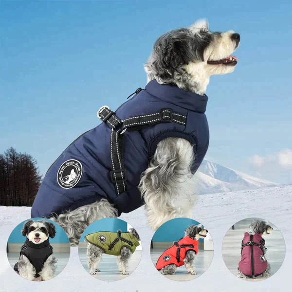 Furcata™ Wintermantel für Hunde | 50% RABATT