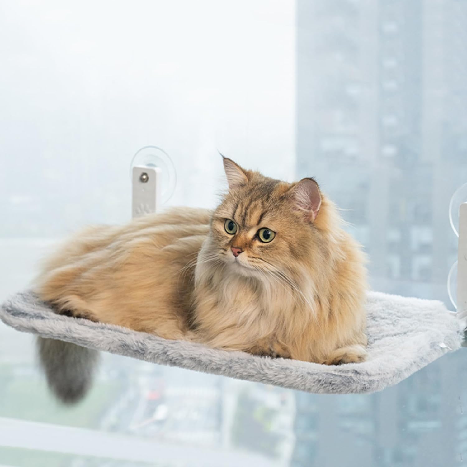 KatzeHängematte™ - Die ultimative Katzenhängematte für Ihre Katze zu Hause | 50% RABATT