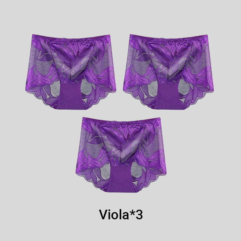 GlamourLace – Premium Französische Damen-Spitzenunterwäsche | 1+2 GRATIS