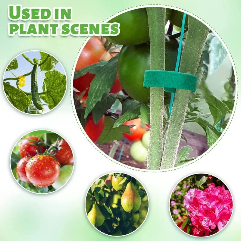 Nylon Kabelbinder - Wiederverwendbar und Selbstklebend für Gartenpflege