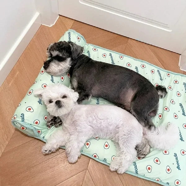 CoolPaws™ – Kühlendes Haustierbett für Hunde & Katzen
