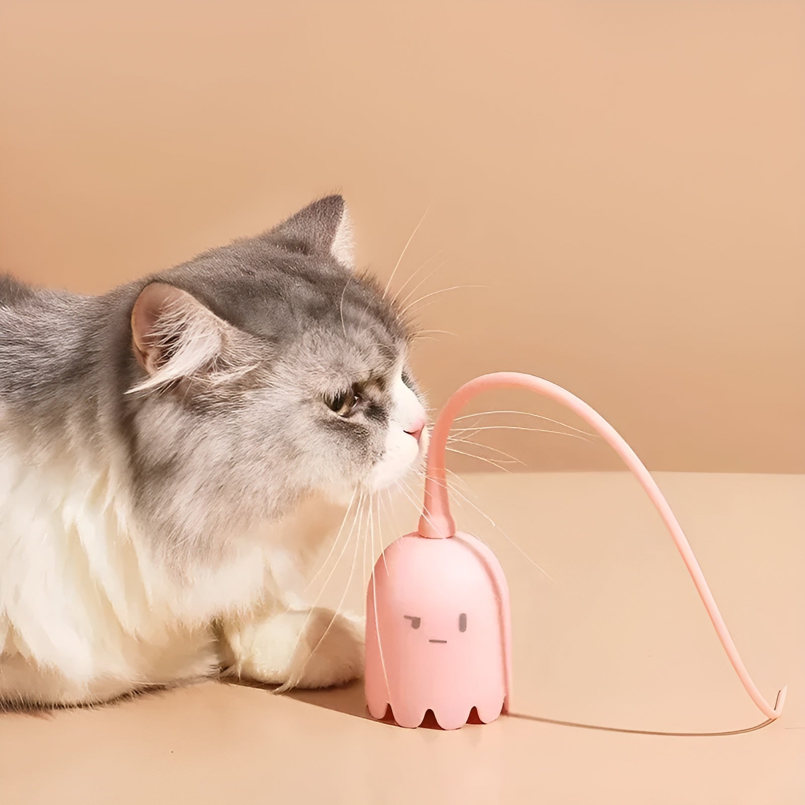 Katzenspaß - Smarter USB-Rollerball für Katzen | 1+1 GRATIS