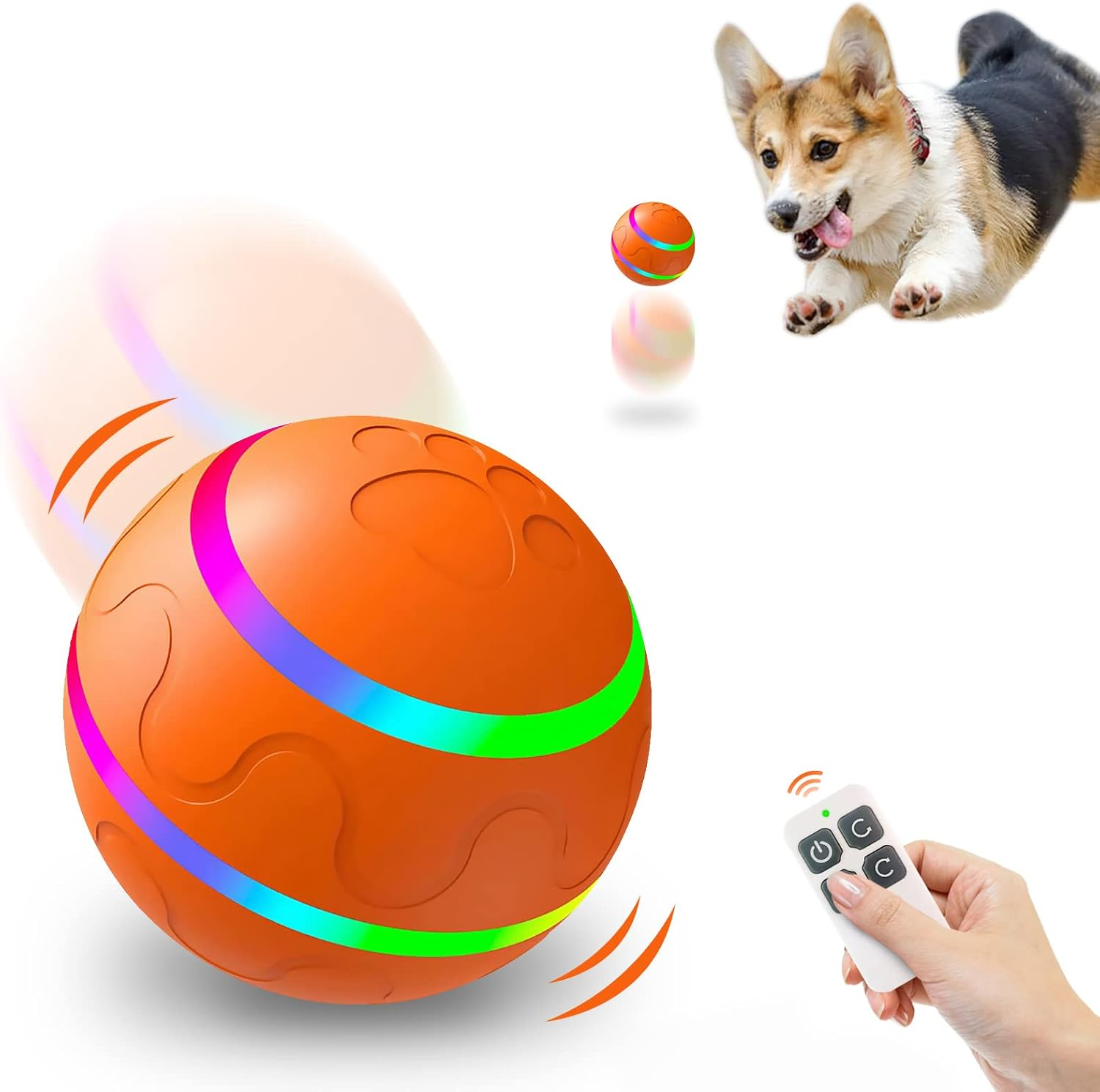 Spielen Sie Paw Ball - Der ultimative Spaßbegleiter | 50% RABATT