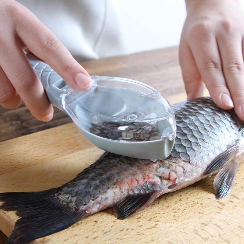Fischschaber