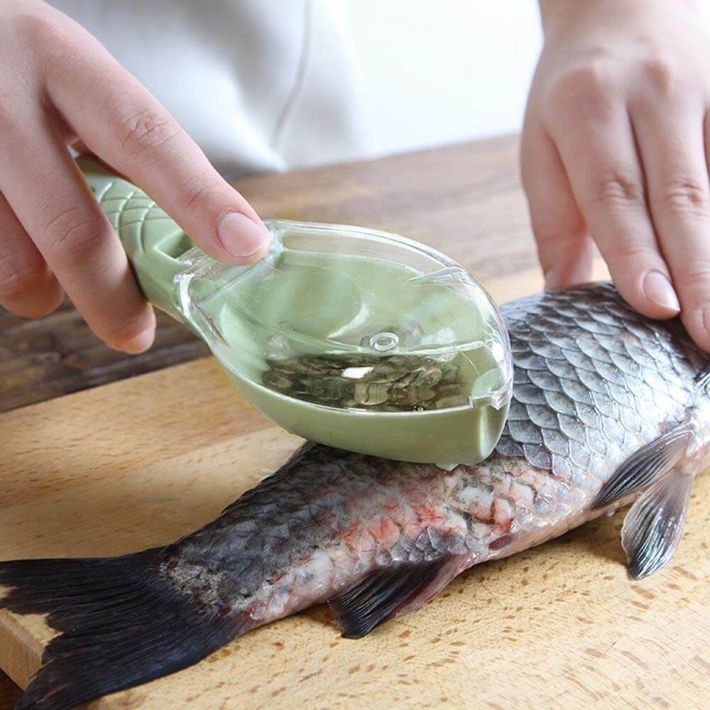 Fischschaber