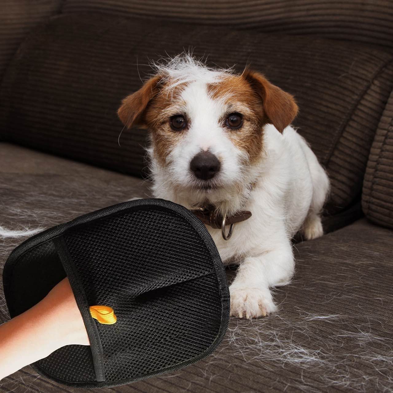 GroomyGlove – Antistatischer Handschuh zur Tierhaarentfernung | 1+2 GRATIS