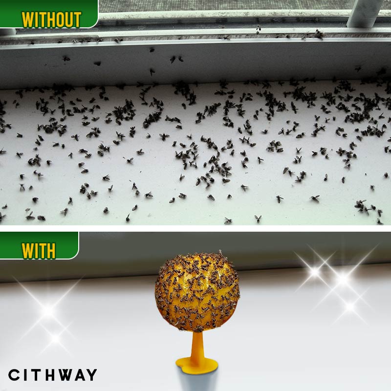 Cithway™ Klebrige Fliegenfalle Ball | 50% RABATT