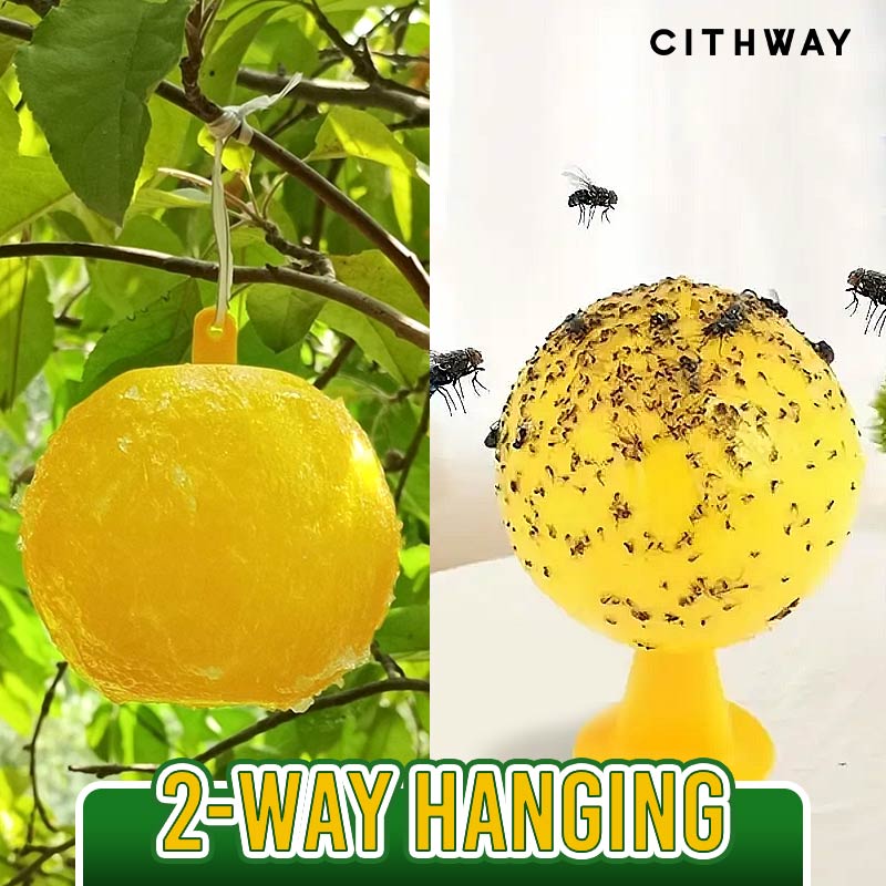 Cithway™ Klebrige Fliegenfalle Ball | 50% RABATT