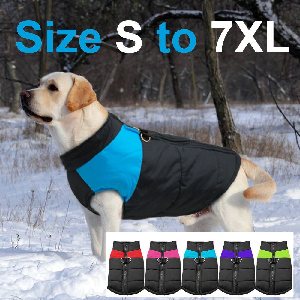 WinterShield™  Wärmen Sie Ihren Hund im Winter | 50% RABATT