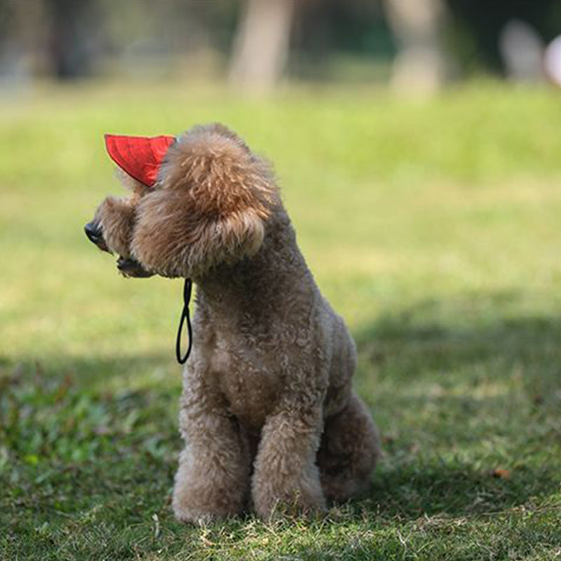 DoggoHat - Stilvoller Sonnenschutz für Ihren Hund | 1+1 GRATIS