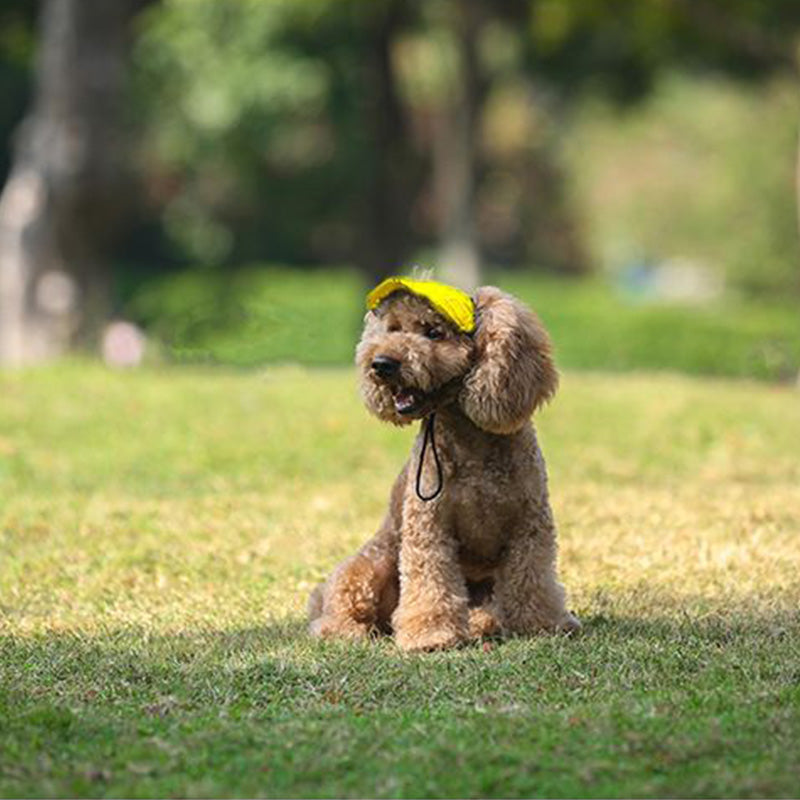 DoggoHat - Stilvoller Sonnenschutz für Ihren Hund | 1+1 GRATIS