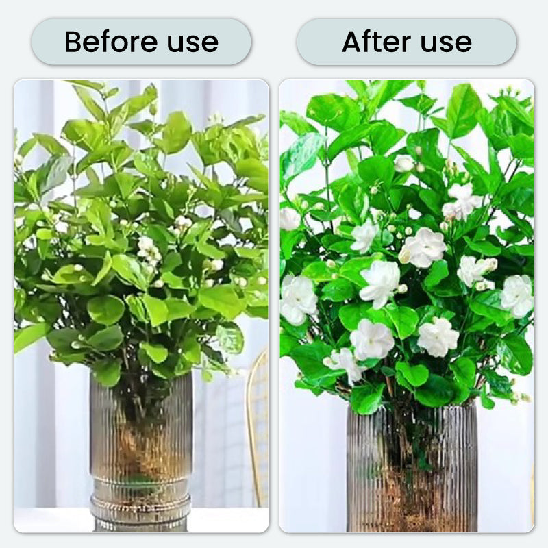 FloraFresh – Sprudeltabletten für längere Blütenpracht | 1+1 GRATIS